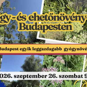 gyógynövény túra